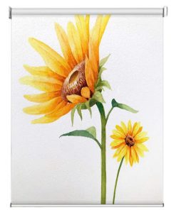 Rèm cuốn in hình 5002